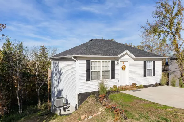 Hollister, MO 65672,393 Walnut Street