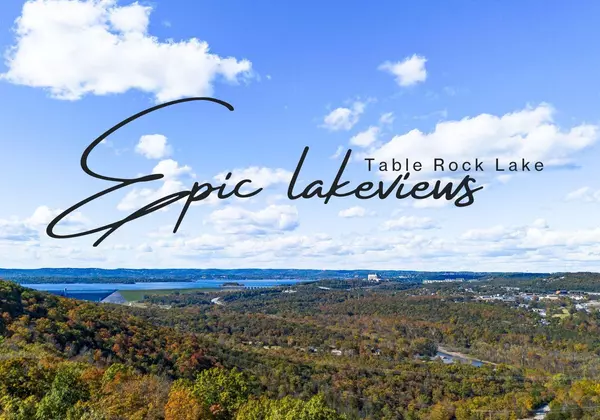 Hollister, MO 65672,3238 State Hwy 265