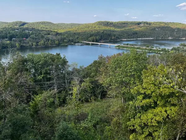 Cape Fair, MO 65624,18 Cottage Lane