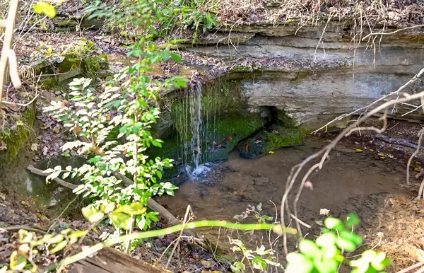 Crane, MO 65633,3378 Warner Road