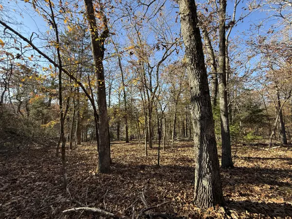 Theodosia, MO 65761,Lot 40 Point Ct.