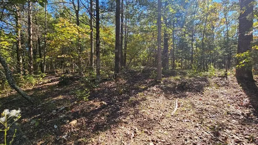 000 Rolling Hills Block 11 Lot 22, Theodosia, MO 65761