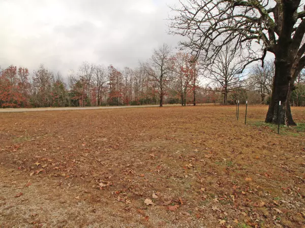 Myrtle, MO 65778,4254 V Highway