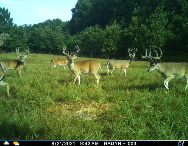 36293 S 565 Road, Jay, OK 74346