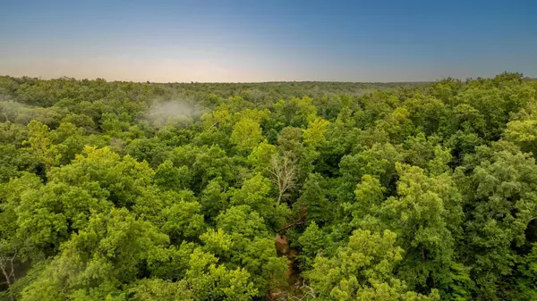 Long Lane, MO 65590,166 State Road P