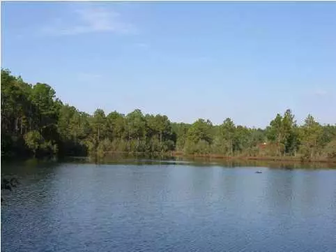 Defuniak Springs, FL 32433,N/A Magnolia Lake Drive