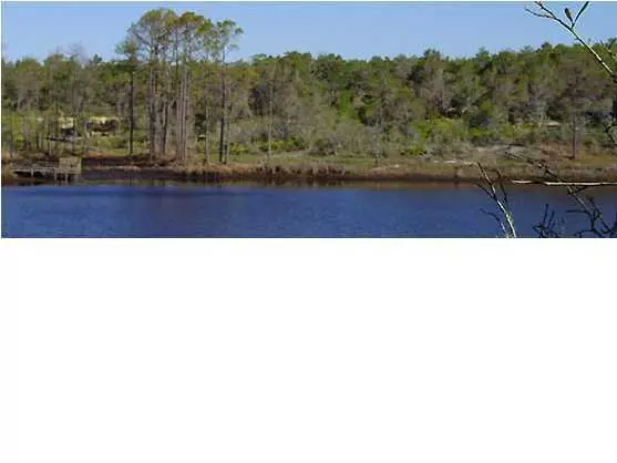 Santa Rosa Beach, FL 32459,LOT 16 Blue Gulf Drive