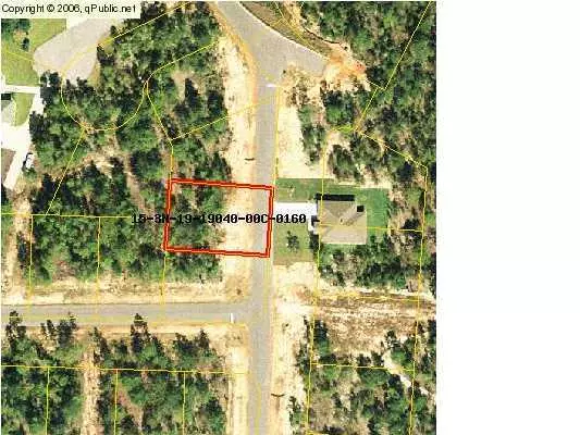 Defuniak Springs, FL 32433,16 Magnolia Lake Drive