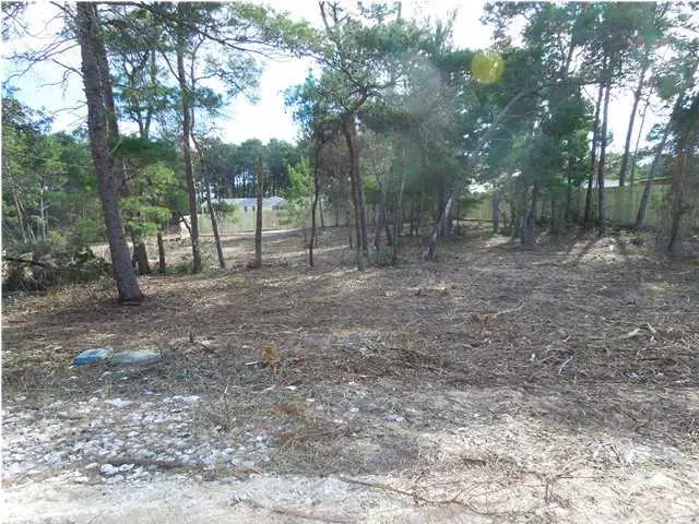 00 Wildwood Trail, Inlet Beach, FL 32461