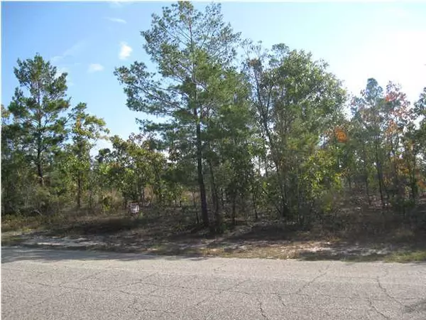 XXX Lakeview Drive, Defuniak Springs, FL 32433