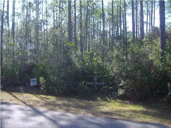 Point Washington, FL 32459,LOT 32 Fern Way