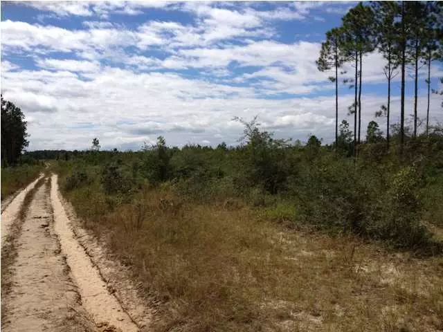 Freeport, FL 32439,30 ACRES Joe Dugger Road