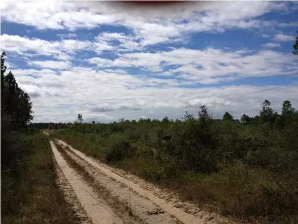 Freeport, FL 32439,30 ACRES Joe Dugger Road