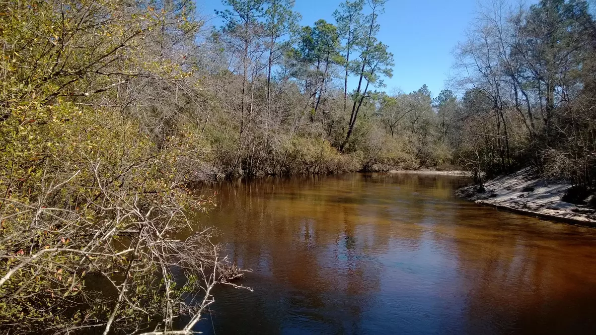 Mossy Head, FL 32434,20.2 AC Eagle''s Way