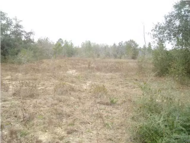 Crestview, FL 32539,LOT 28 Country Breeze Lane