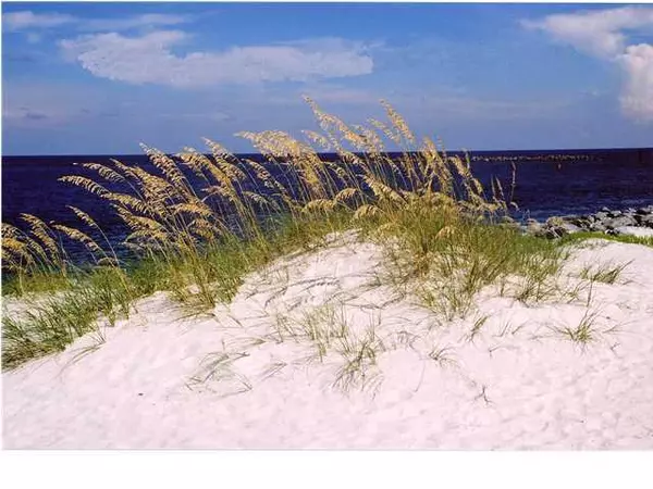 Santa Rosa Beach, FL 32459,LOT 10 Sky High Dune Drive