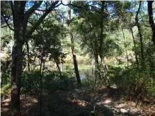 Niceville, FL 32578,LOT 12 Redbud Trail