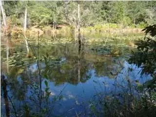 Niceville, FL 32578,LOT 12 Redbud Trail