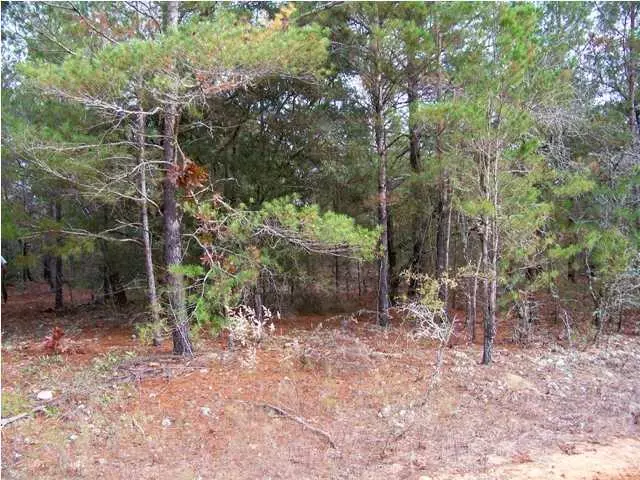 LOT 5 Hamlet Drive, Defuniak Springs, FL 32433