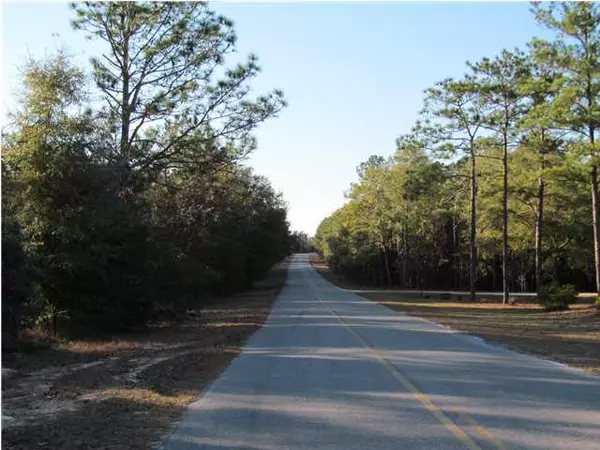 Argyle, FL 32435,49.4 ACRES Macedonia Church Road