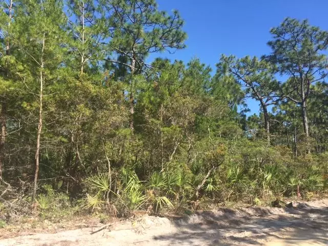 Santa Rosa Beach, FL 32459,LOT 22 Barcelona Avenue