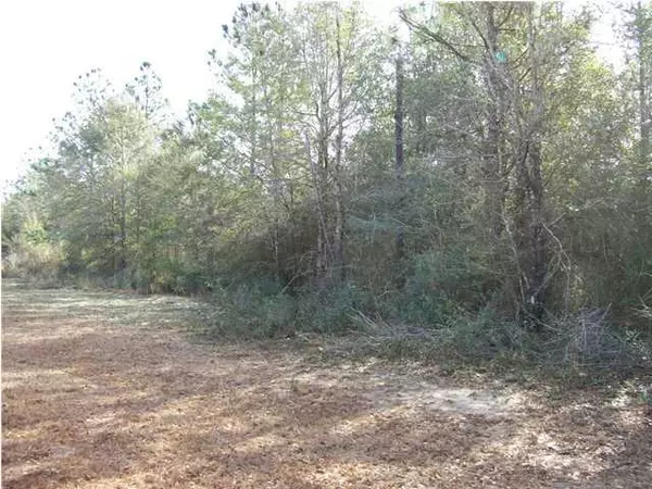 Holt, FL 32564,XX Cedar Springs Farm Road