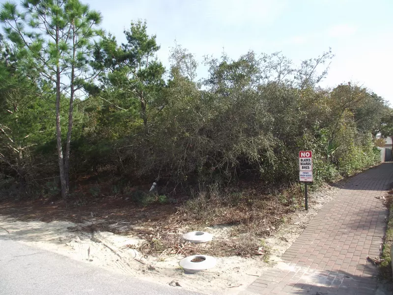 LOT3 BLK D WALTON BUENA VISTA Drive, Seacrest, FL 32461