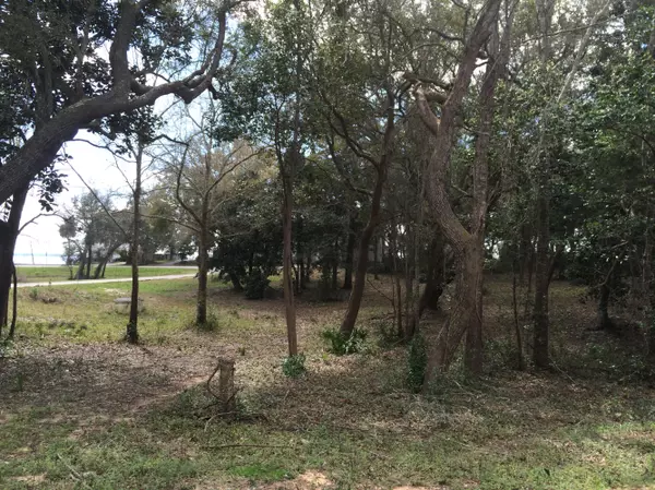 Niceville, FL 32578,Lot 20 SATSUMA Road