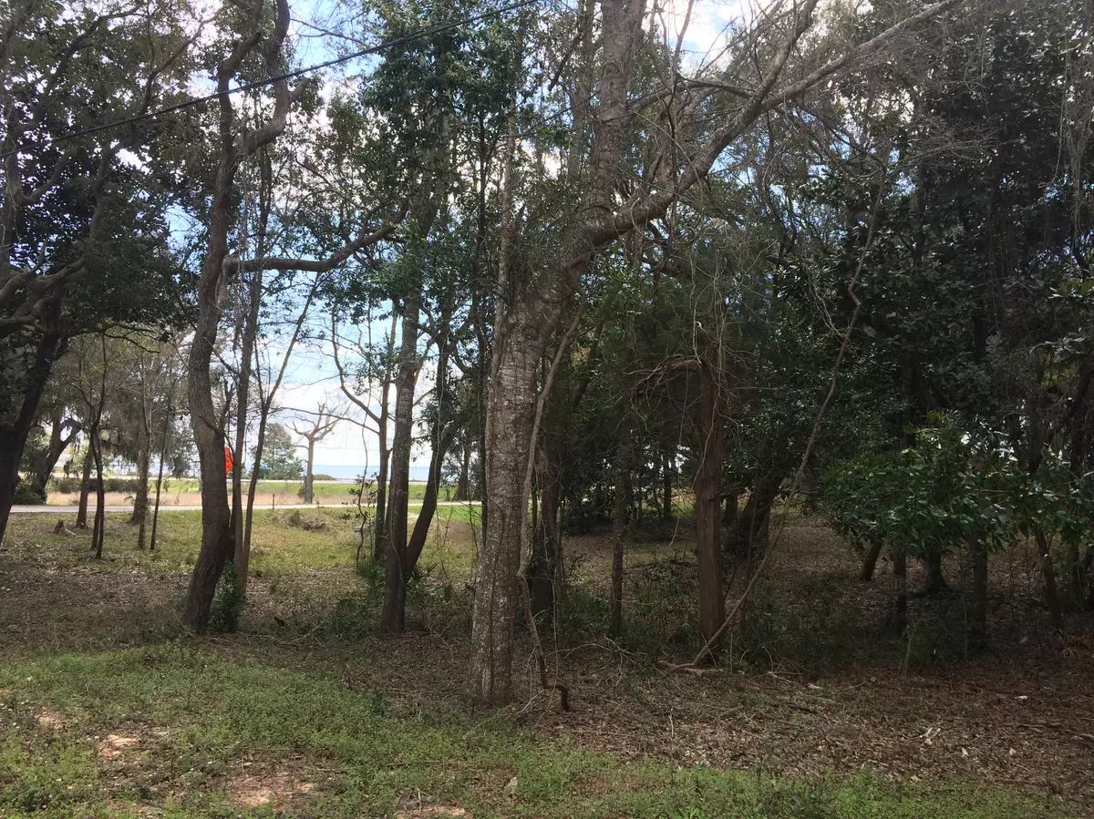 Niceville, FL 32578,Lot 19 SATSUMA Road