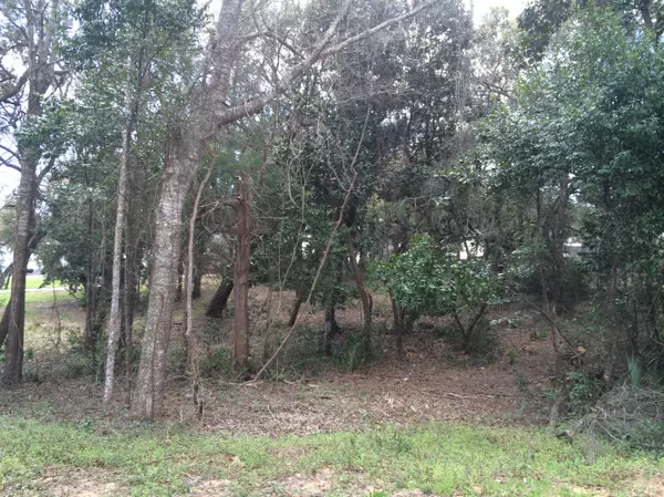 Niceville, FL 32578,Lot 19 SATSUMA Road