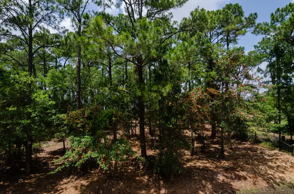 Santa Rosa Beach, FL 32459,G-LOT 4 DRIFTWOOD POINT Road