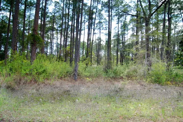 LOT H20 Driftwood Point Road, Santa Rosa Beach, FL 32459