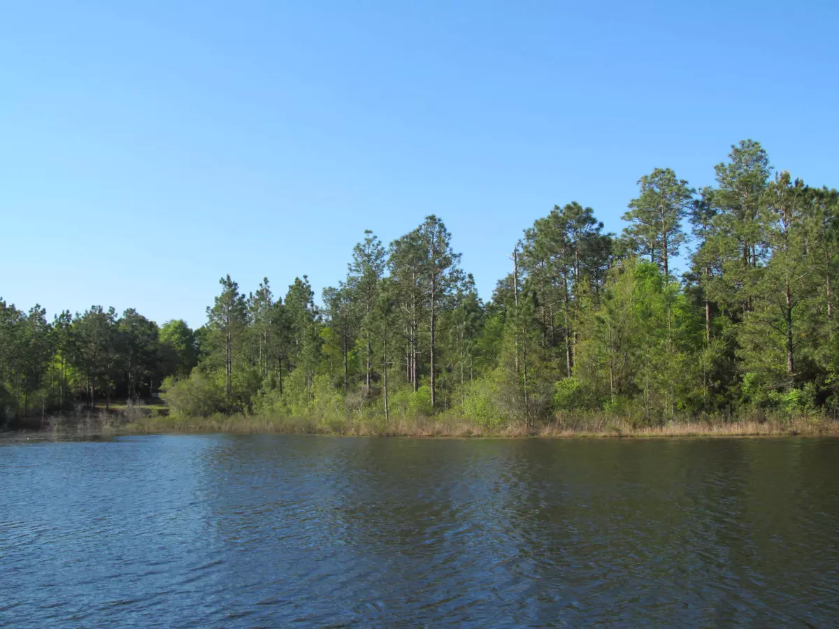 Defuniak Springs, FL 32433,1315 Martin Road