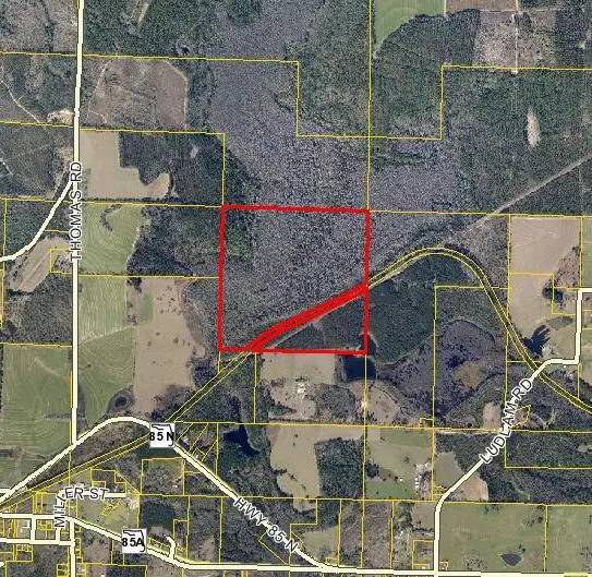 Laurel Hill, FL 32567,150 ac Hwy 85 N