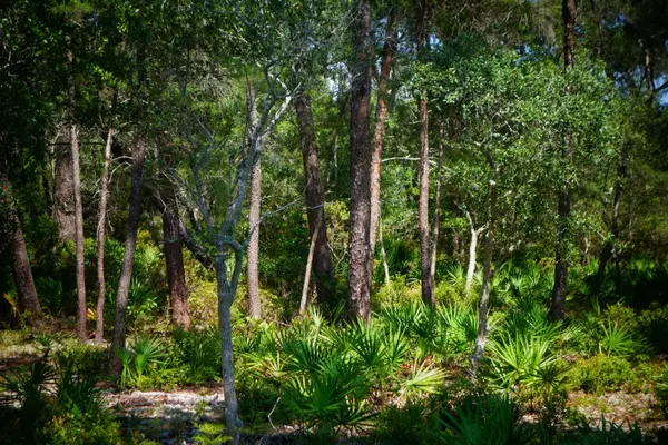 Santa Rosa Beach, FL 32459,Lot 7 RIVER Circle