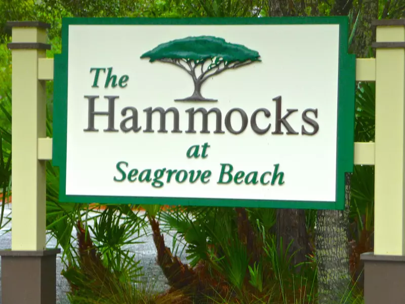 xxx Lot 31 Hammock Lane, Santa Rosa Beach, FL 32459