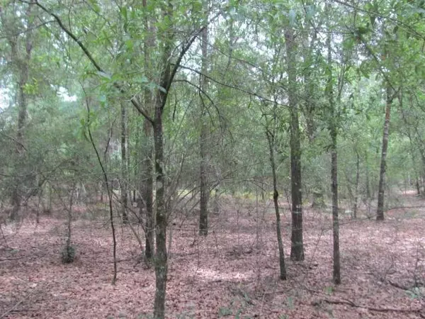 10+ Acres Cherokee Lane, Defuniak Springs, FL 32433