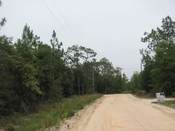 Defuniak Springs, FL 32433,10+ Acres Cherokee Lane