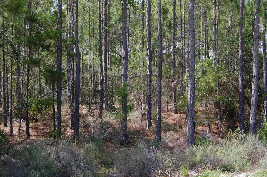 1511 SWEETBAY Trail, Panama City Beach, FL 32413