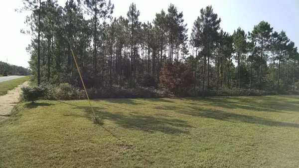 Lot 8 & 9 White Pines Unrec S/D, Freeport, FL 32439