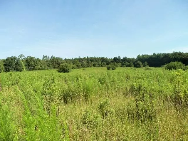 000 LUDLUM Road, Laurel Hill, FL 32567