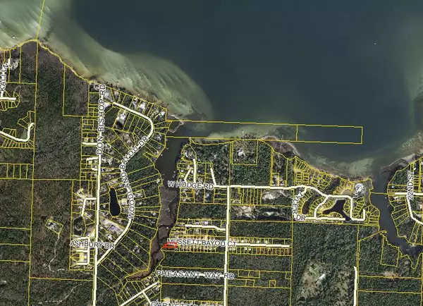 Santa Rosa Beach, FL 32459,189 Mussett Bayou Court