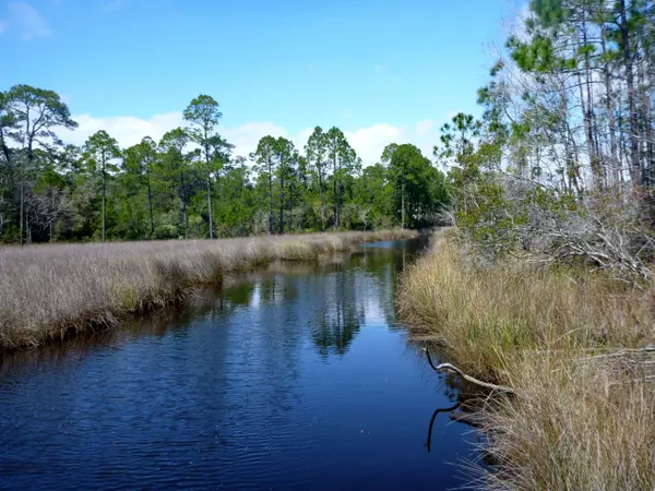 Santa Rosa Beach, FL 32459,189 Mussett Bayou Court