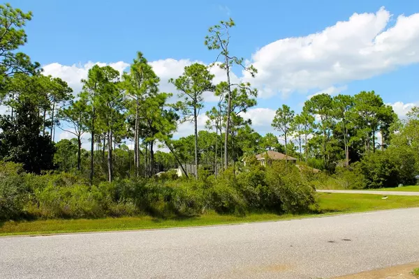 Santa Rosa Beach, FL 32459,Lot 47 Pelican Bay Drive