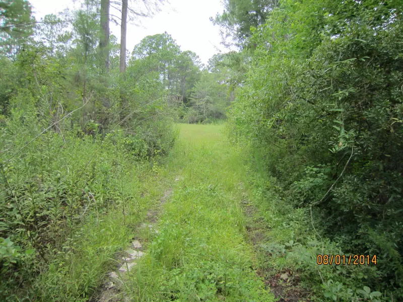 Lot 19 OAK Avenue, Point Washington, FL 32459