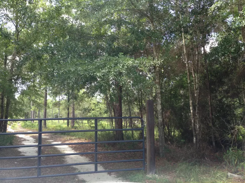 6.95 ACRES HWY 20, Freeport, FL 32439