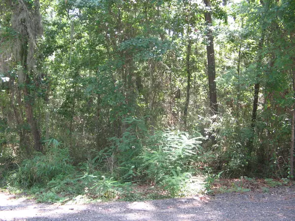 Freeport, FL 32439,00 Shady lane