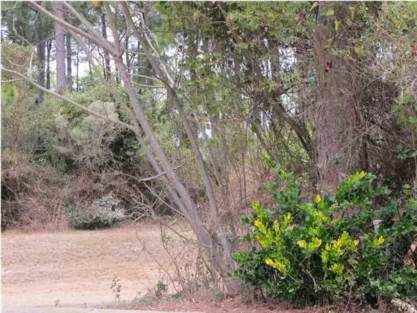 Destin, FL 32541,LOT 29 Windstarr Drive