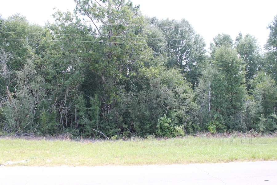 1 AC Wilkerson Bluff Parcel B Road, Holt, FL 32564