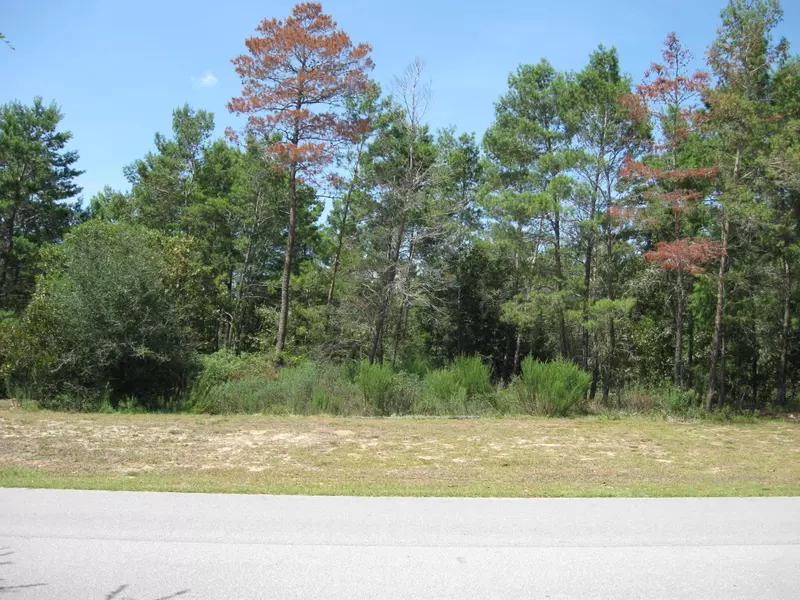 LOT 9E Brushed Dune Circle, Freeport, FL 32439